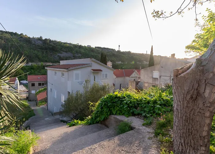 Marin Novigrad Daire