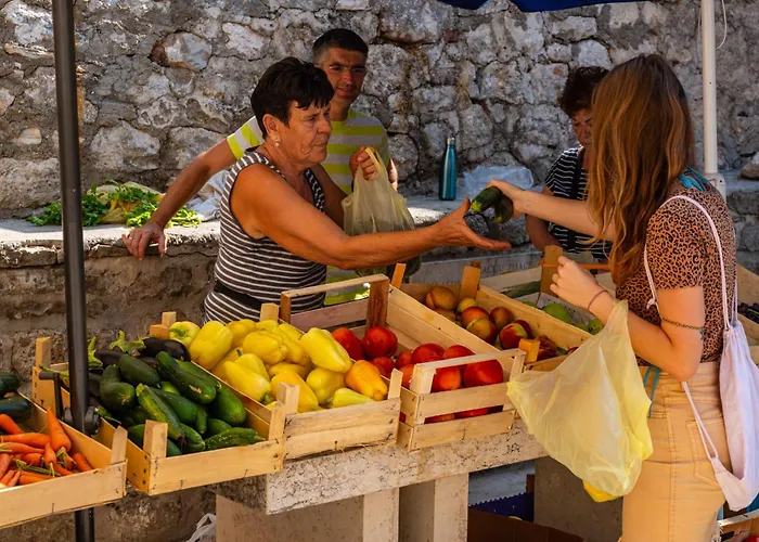 Daire Marin Novigrad