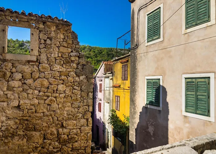 Marin Novigrad *