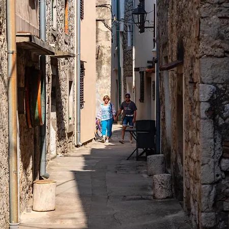 Marin Novigrad