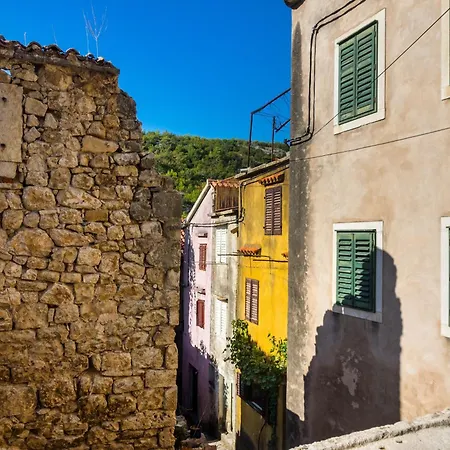 Marin Novigrad *